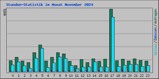 Stunden-Statistik im Monat November 2024