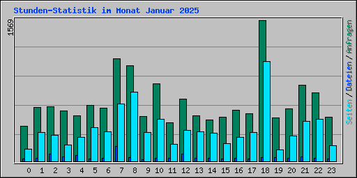 Stunden-Statistik im Monat Januar 2025