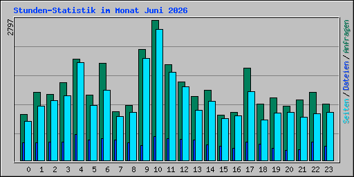 Stunden-Statistik im Monat Juni 2026