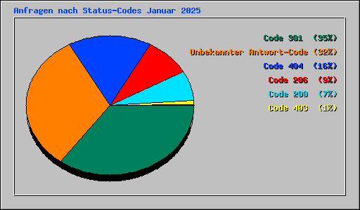 Anfragen nach Status-Codes Januar 2025